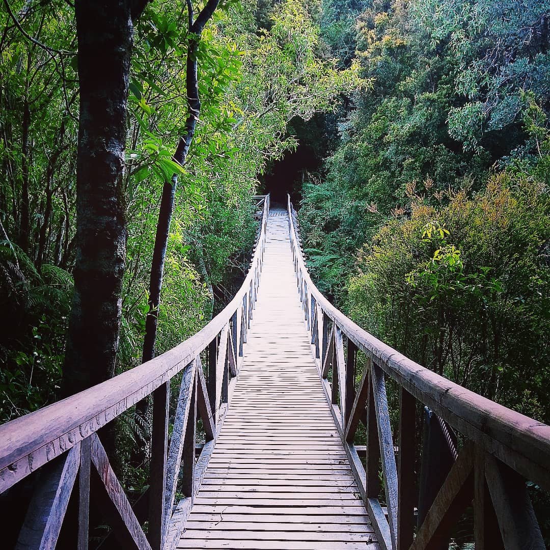 A bridge inside of Parque Pumalin the straddles the Carretera Austral