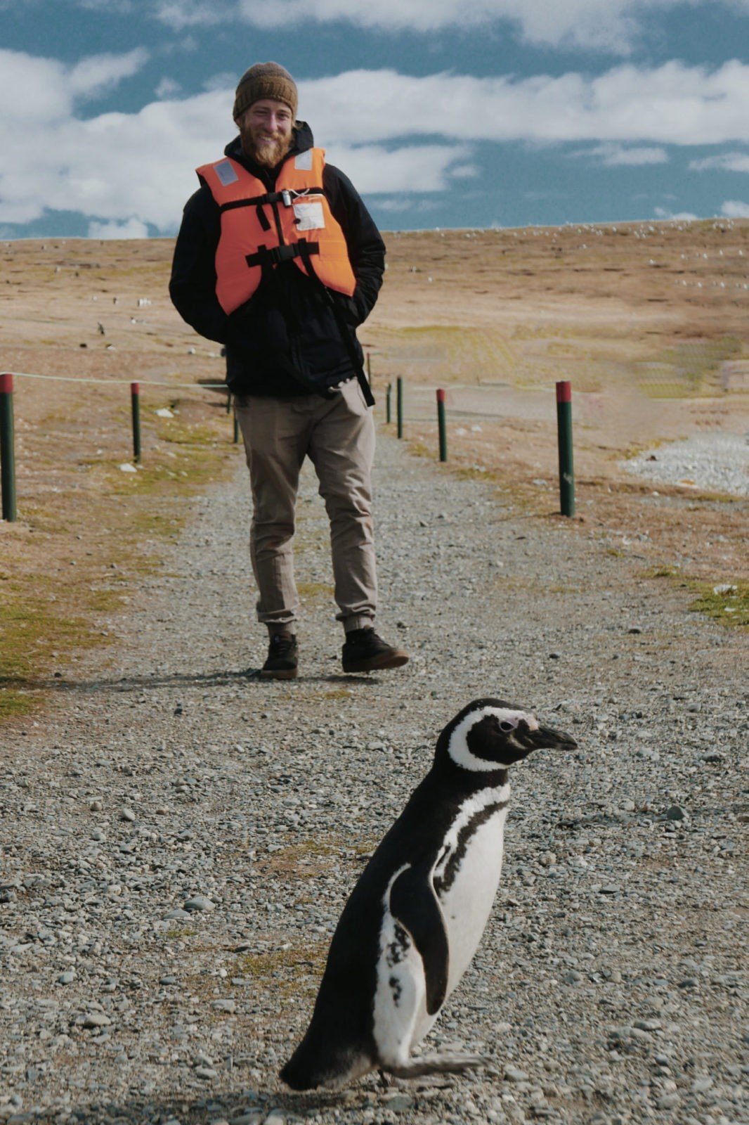 a penguin walks in front of us on isla magdalena