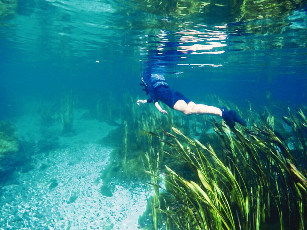 Things to do in Bonito - Fresh water snorkelling in Bonito - Two Lost Feet